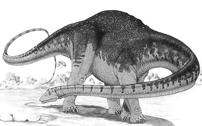 http://www.nhm.ac.uk/resources/nature-online/life/dinosaurs/dinosaur-directory/images/%5Creconstruction/small/Hypselosaurus.jpg