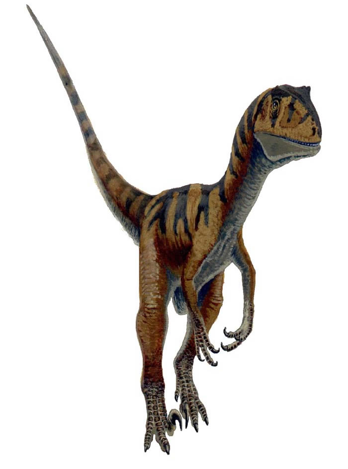 deinonychus teeth