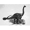 austrosaurus