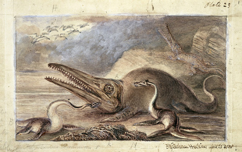http://www.nhm.ac.uk/resources/nature-online/online-exhibitions/art-nature-imaging/small/11937-waterhouse-ichthyosaurus.jpg