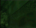View Epistylis plicatilis QuickTime movie - 1.938 mb