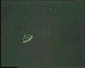 View Bodo sp. QuickTime movie - 2.306 mb