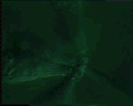 View Zoothamnium simplex QuickTime movie - 1.749 mb