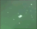 View Bodo sp. QuickTime movie - 4.56 mb