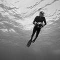 Brian Skerry