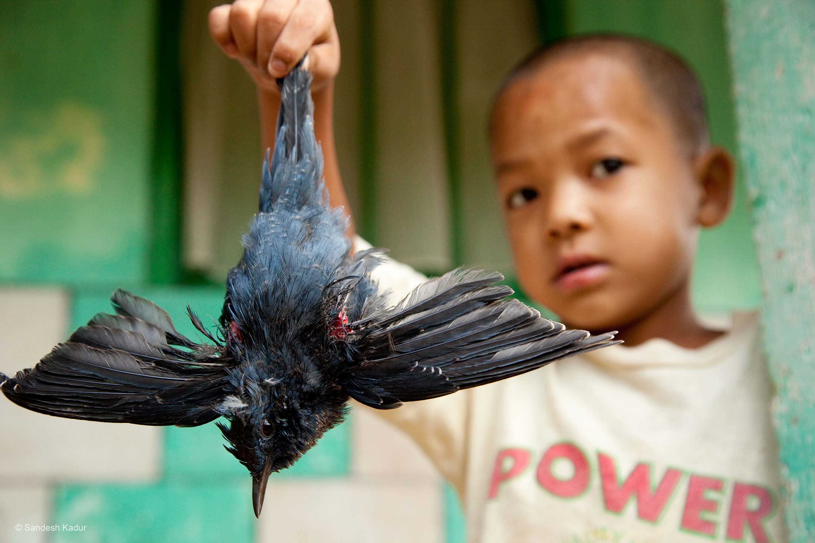 Pot shot Sandesh Kadur One Earth Award Wildlife Photographer of