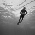 Brian Skerry