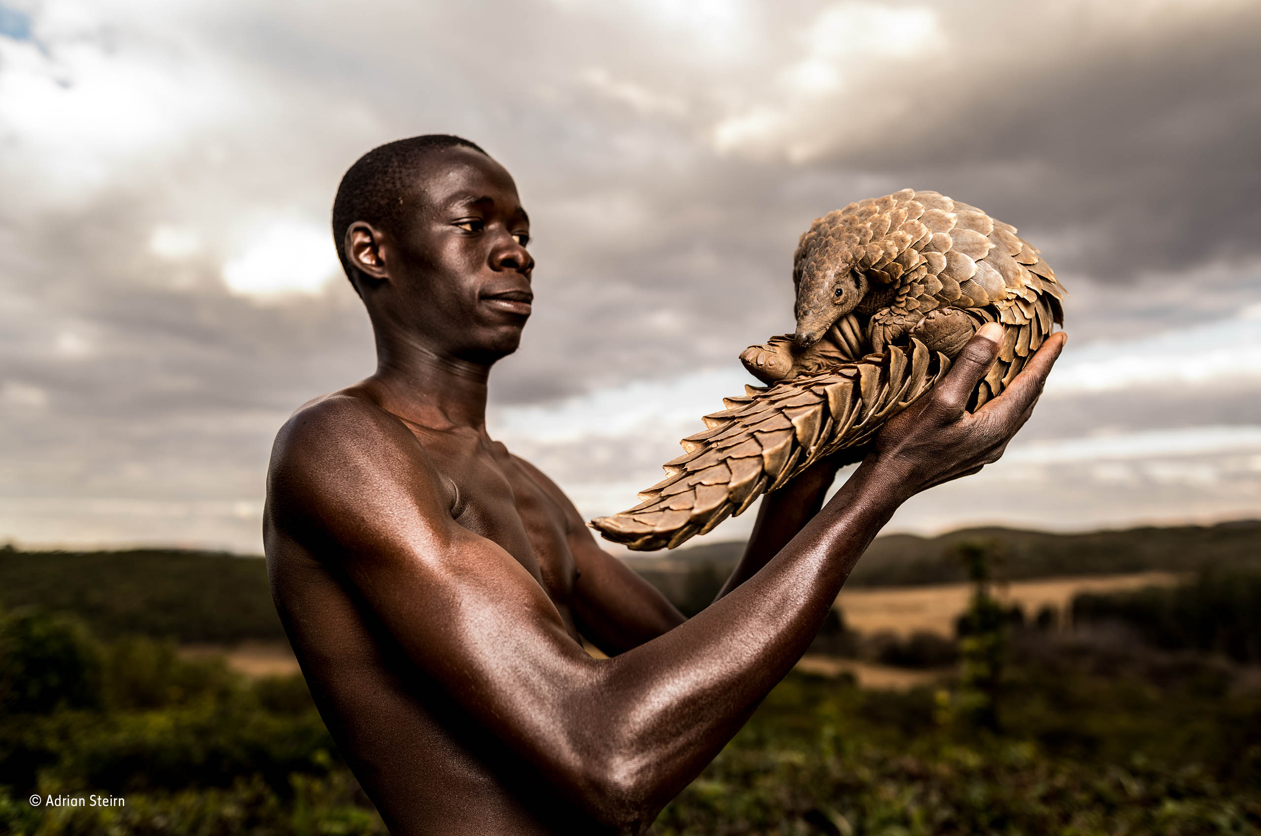 Natural History Museum Photographer Of The Year Natural History Museum Photographer Of The Year