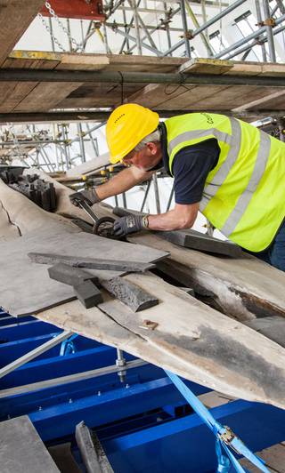 Cleaning and repairing the whale's fin