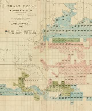 A whaler map showing the species distribution