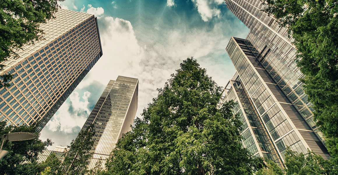 Trees in front of buildings in Canary Wharf, London
