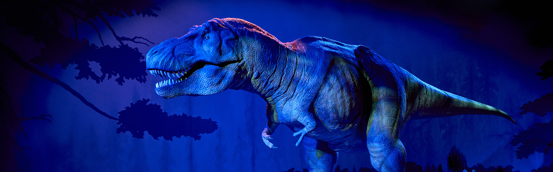 T.Rex 
