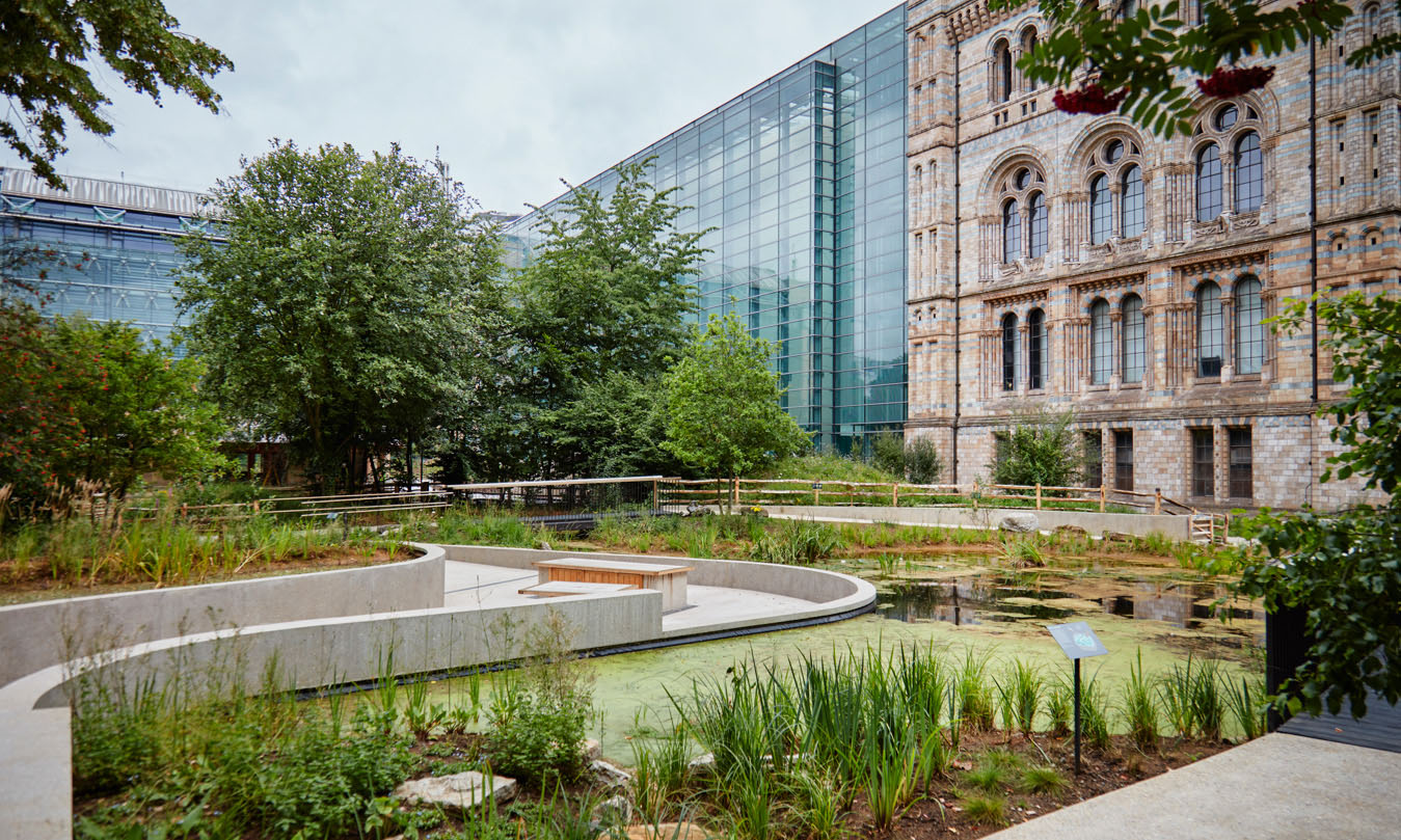 View of the pond in the Nature Garden