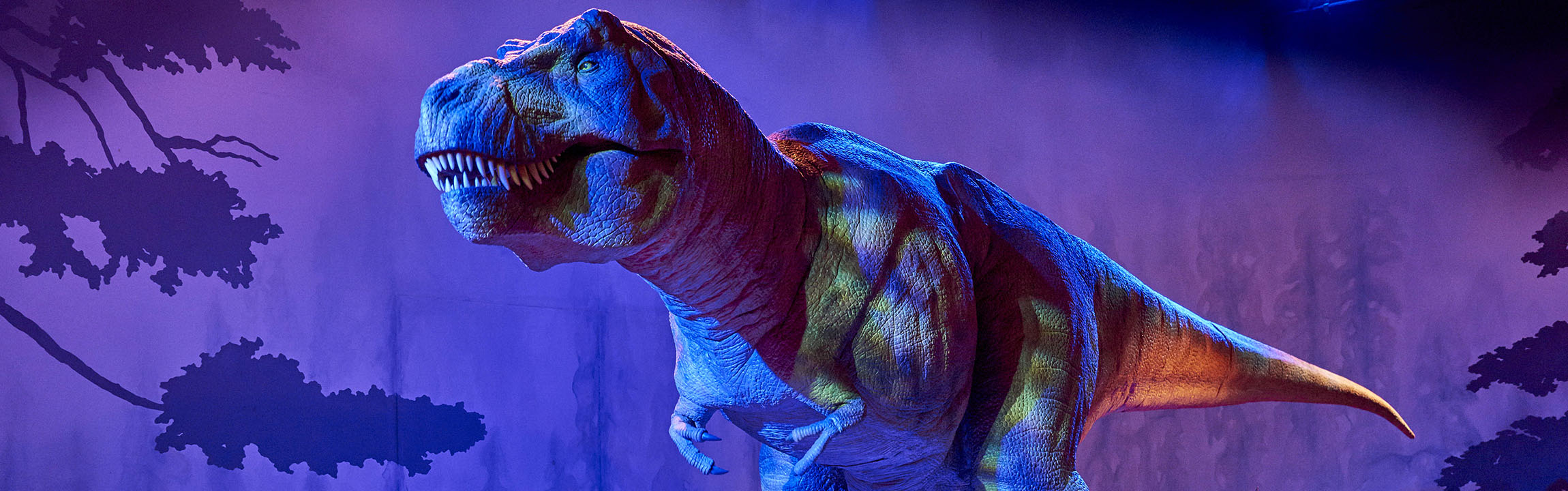 A photograph of the animatronic T-rex in our dinosaur gallery, lit by purple and blue lights 