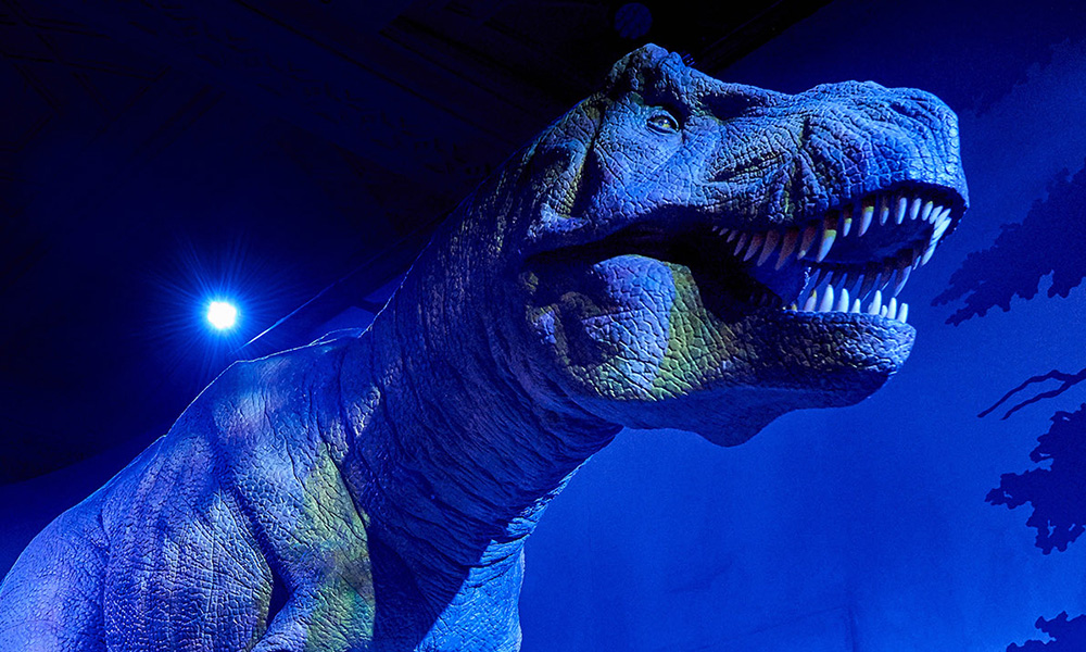 Our animatronic T.Rex roars lit in blue light at the Dinosaurs Gallery