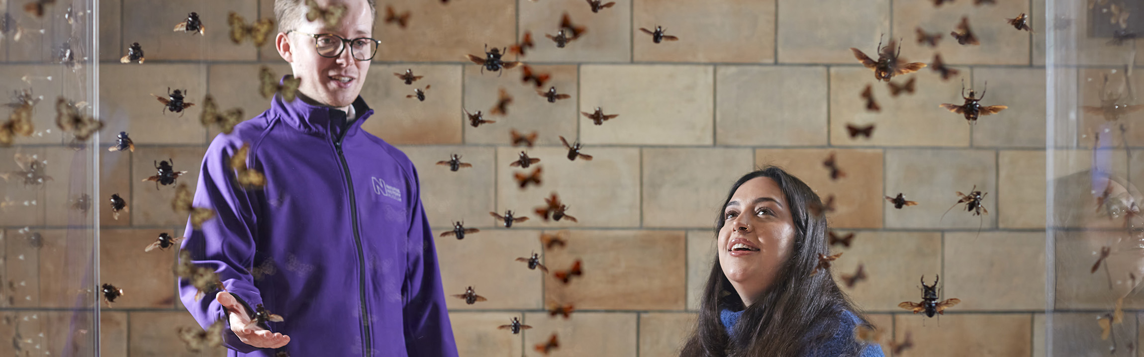 A tour guide and a woman look at a display of insects behind glass 