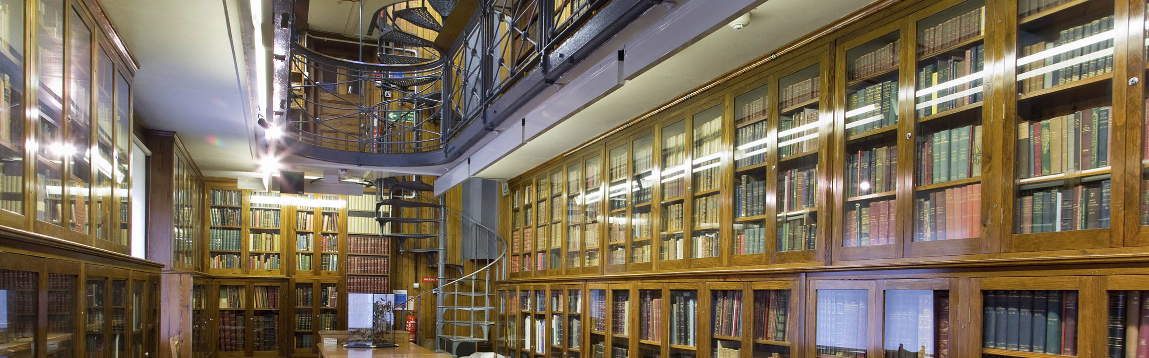 A general view of the Rothschild Library