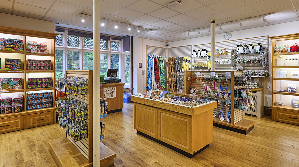 A view of our shop, with different products on the walls and cabinets.