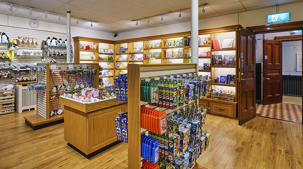 A view of our shop, with different products on the walls and cabinets.