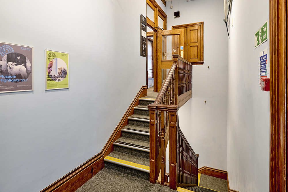 Carpeted staircase leading to floor 1 with yellow visibility strips