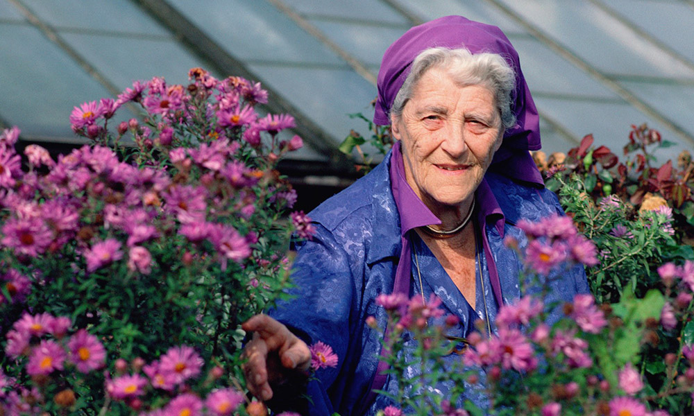 Miriam Rothschild wearing a purple headscarf and surrounded by pink flowers