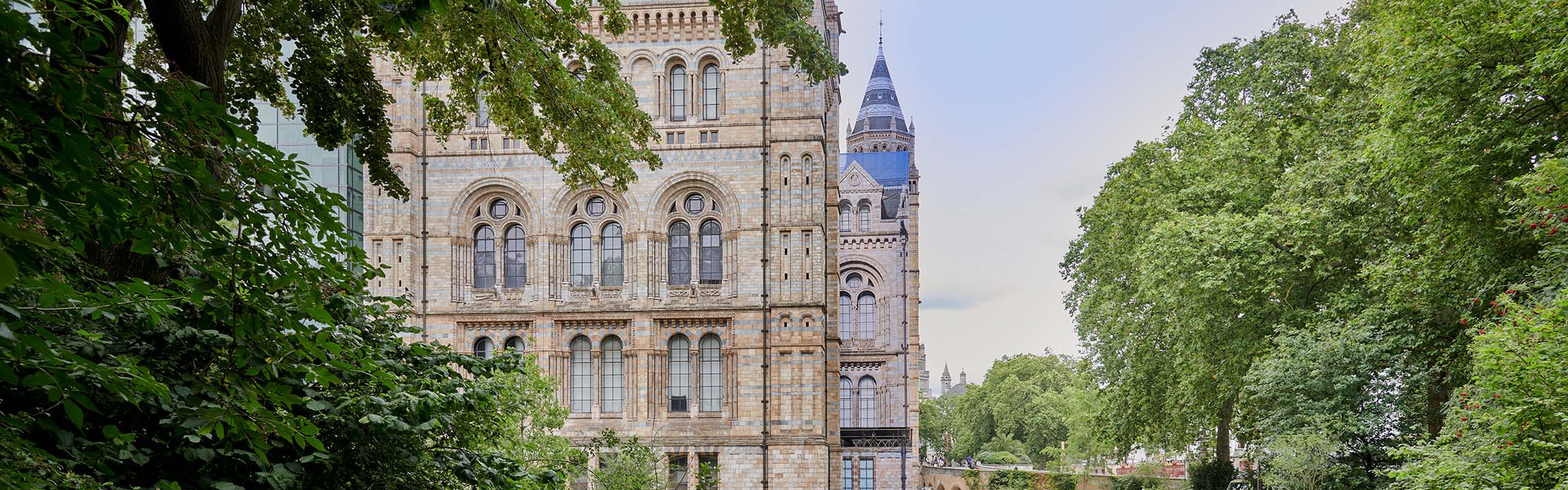 A view of threes around the Waterhouse building  