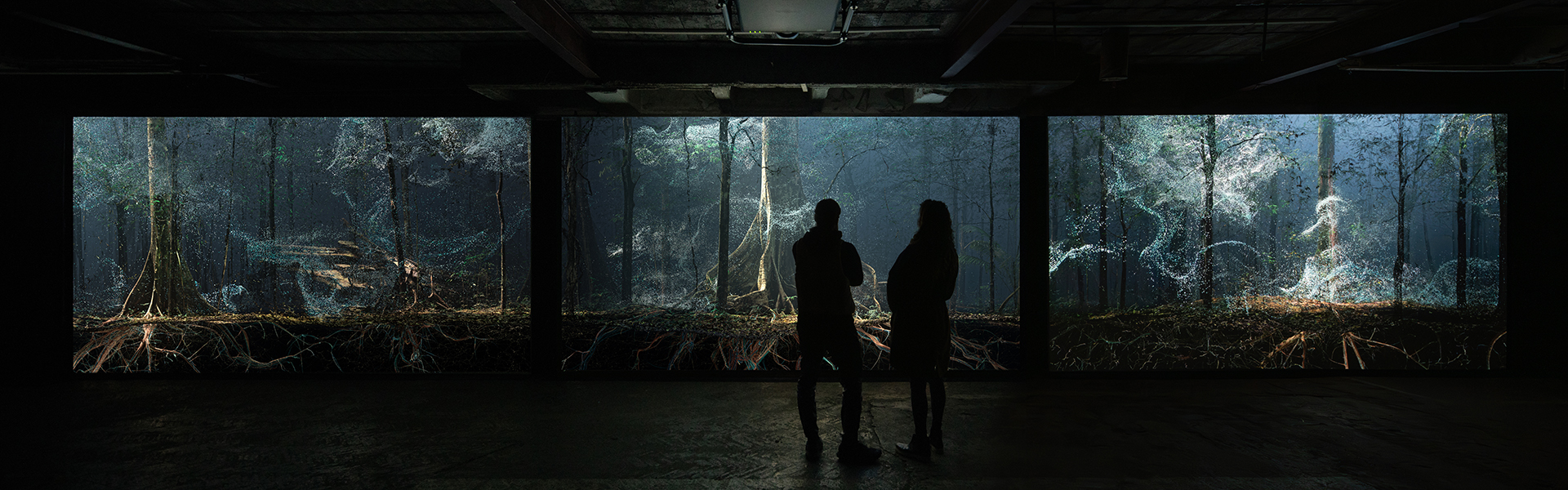 People look at the video installation Breathing with the Forest at Shifting Landscapes
