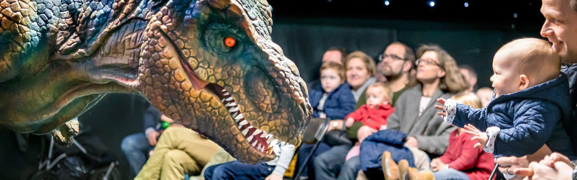 A baby sitting on his guardian's lap looks at an animatronic T.Rex 