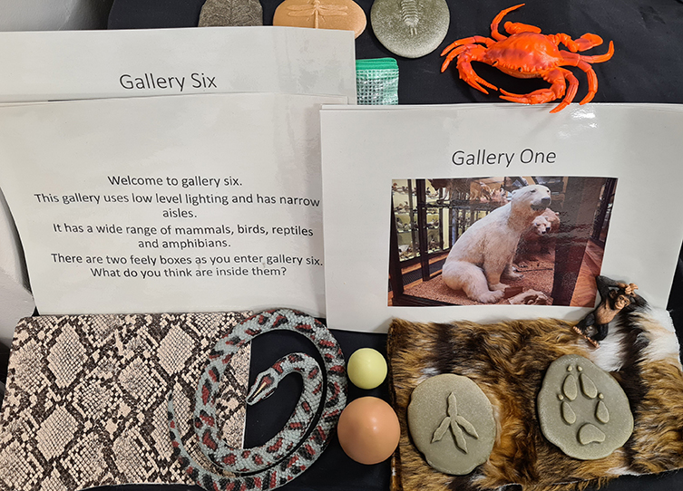 A photo of a collection of tactile items for blind and partially sighted visitors. The items include a rubber snake, model animal footprints and some fake animal fur. There are cards explaining the layout and appearance of the galleries.