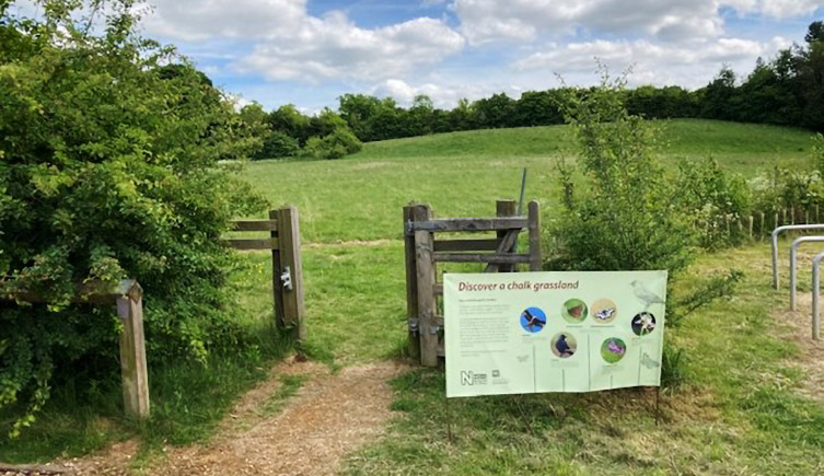 The entrance to the wildflower meadow, with a gate and board explaining what can be seen.