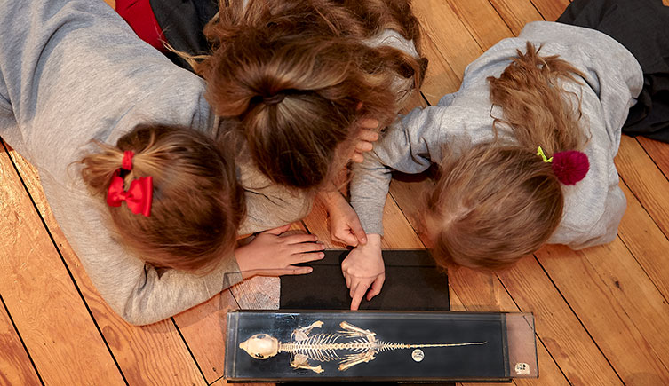 A photo of three school children looking at a model skeleton