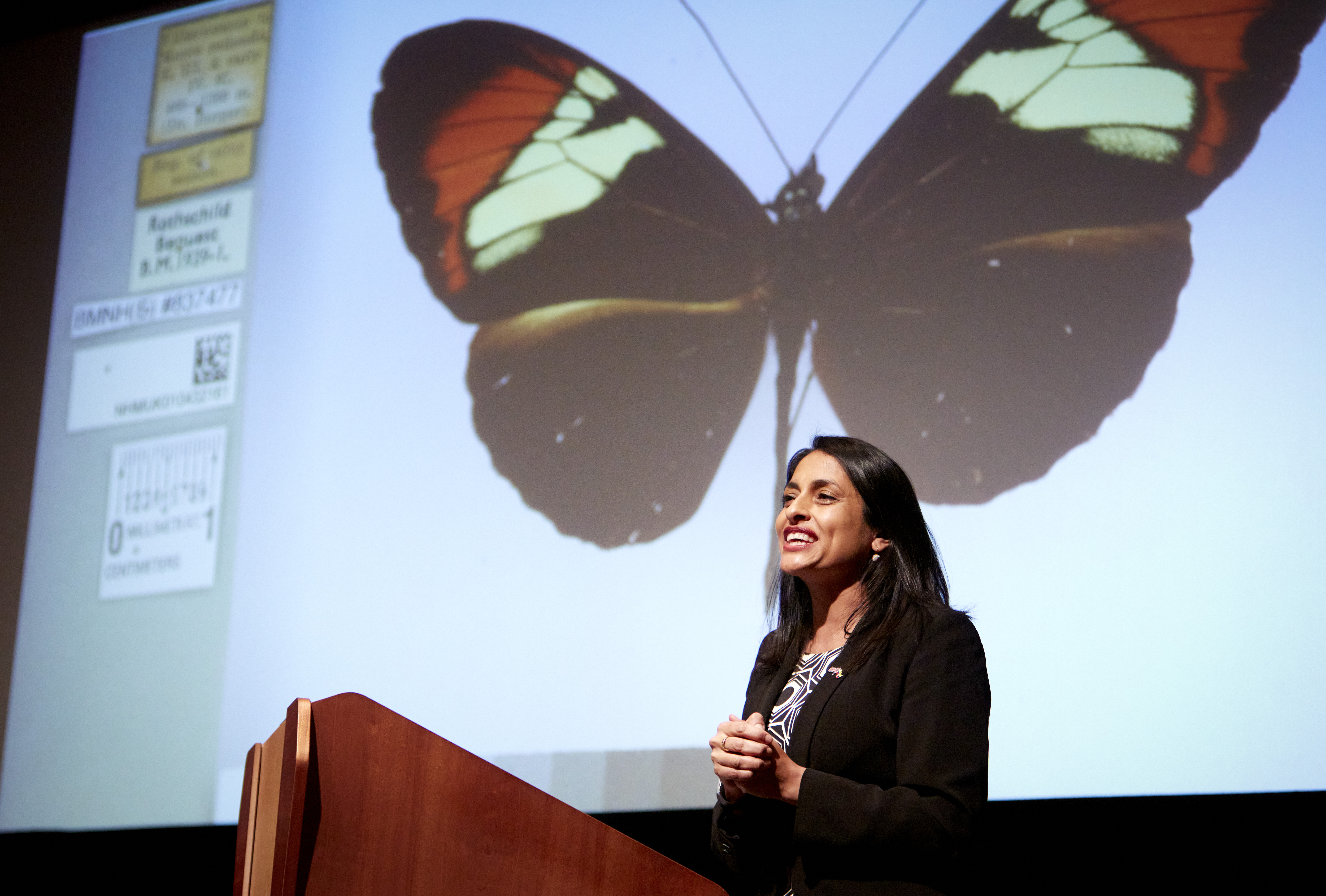 A woman stands in front of a presentation screen that shows a butterfly