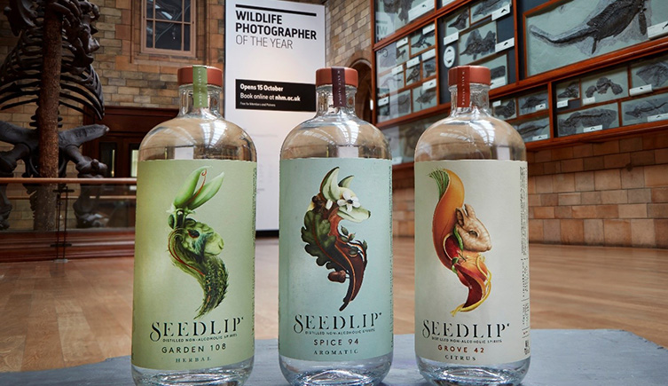three bottles of gin