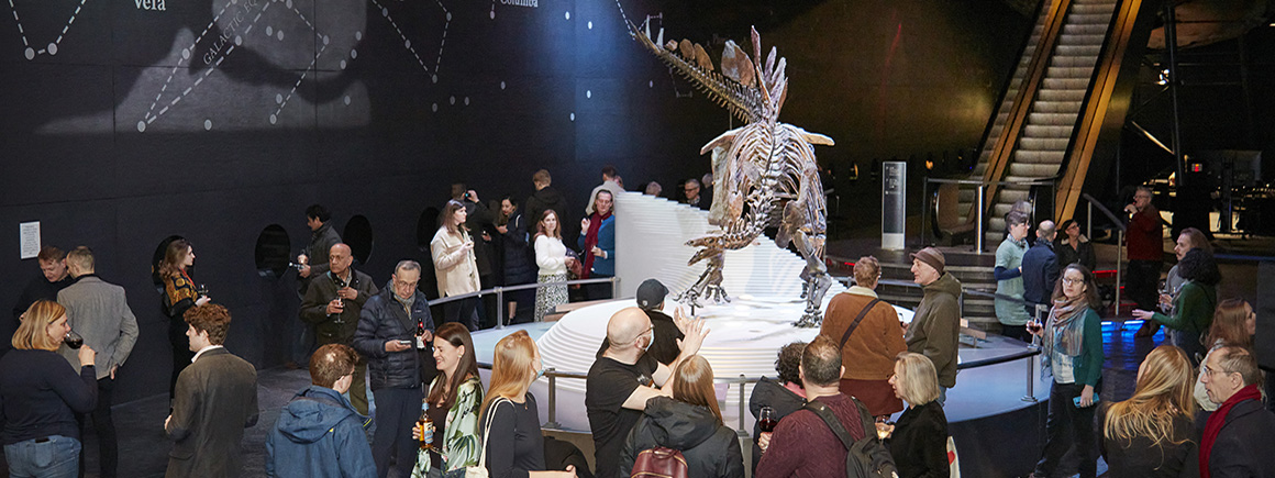 A crowd of people looking at Sophie the stegosaurus