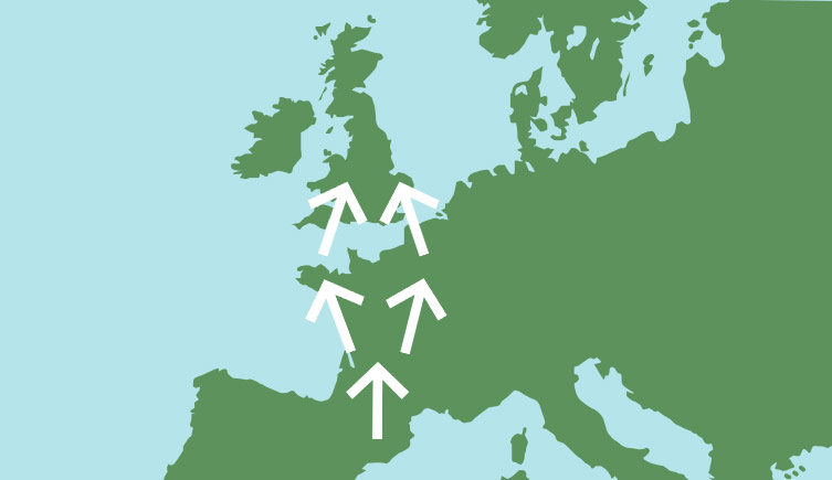 A simplified map of Europe 6,000 years ago. Five white arrows representing population movements point north from France to Britain. 