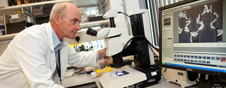scientist looking through microscope