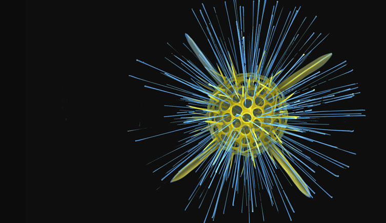 Radiolarian scan
