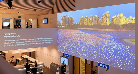 A large projection of a WPY image over a conference space