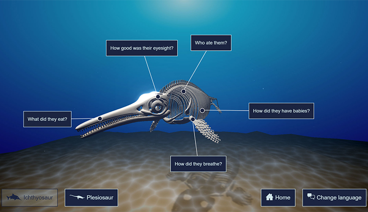 A screenshot of an interactive experience labelling the bones of an Ichthyosaur