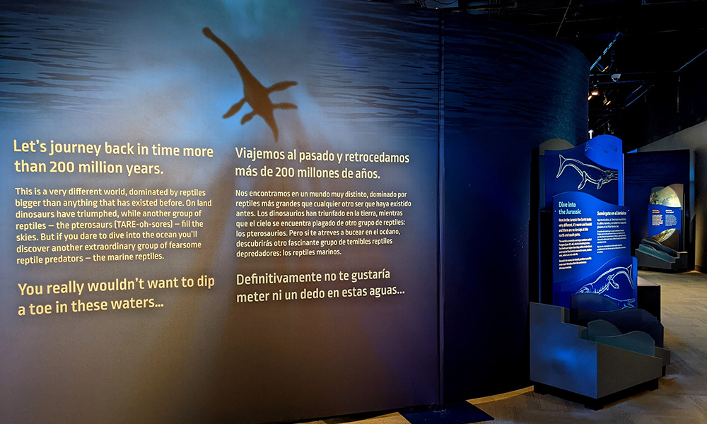 Part of the interactives from the Jurassic Oceans exhibition