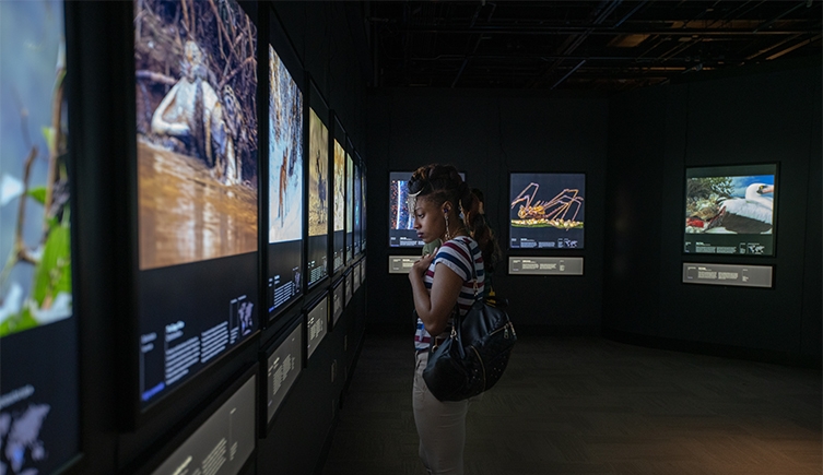 An adult stands looking at pictures from the Wildlife Photographer of the Year exhibition at a touring venue