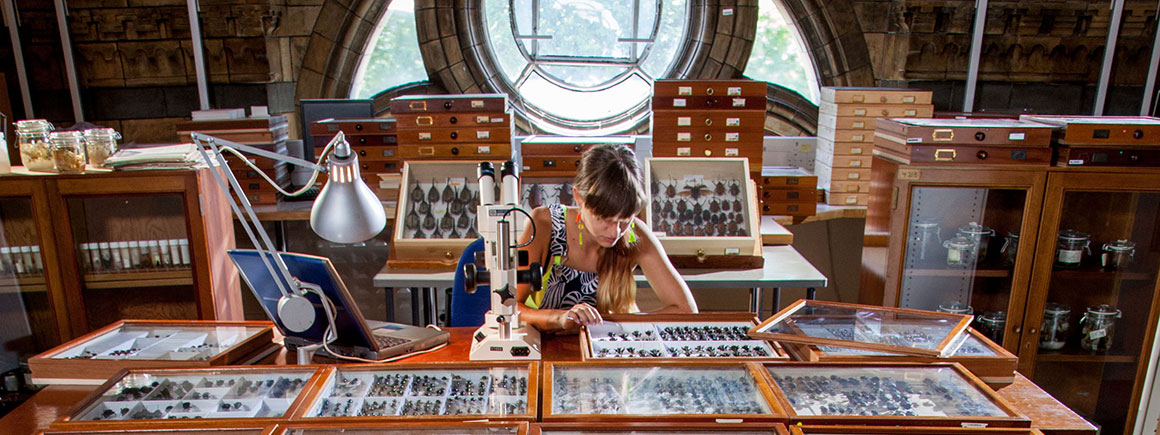 scientist looking through microscope