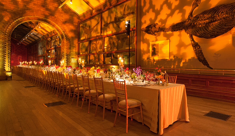 Fossil way set up for an event