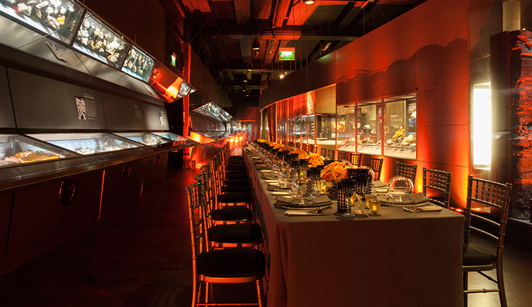 Tables set up for dinner in the dramatic Earth's Treasury
