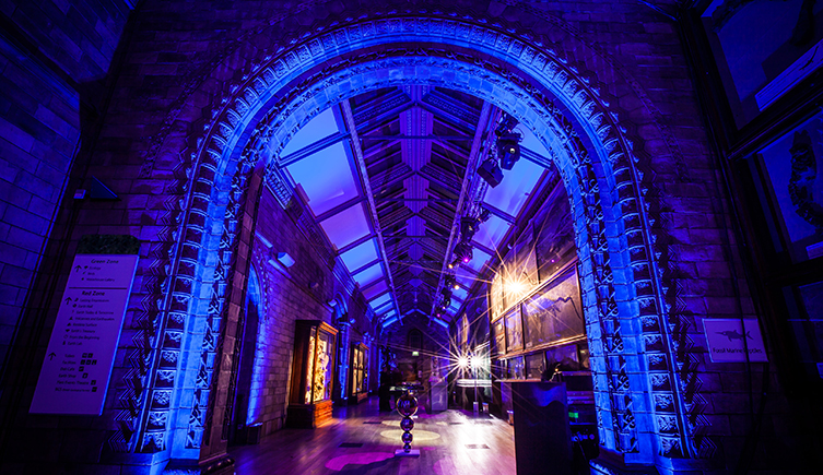 The Natural History Museum's Waterhouse Way, decorated for an event