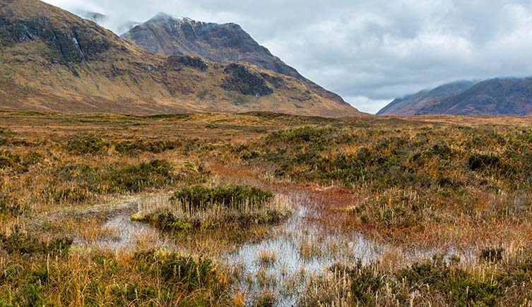 A view across a peat bog surrounded by mountains. The ground is visably wet, with plants growing among standing pools of water.