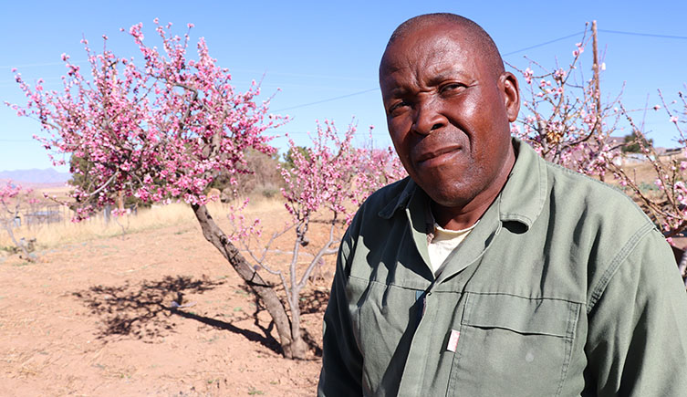 A portrait of Sginyane, who is stood in front of pink blossom.  