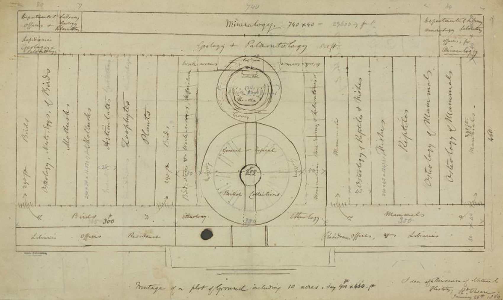 Richard Owen's architectural sketch of a new natural history museum building
