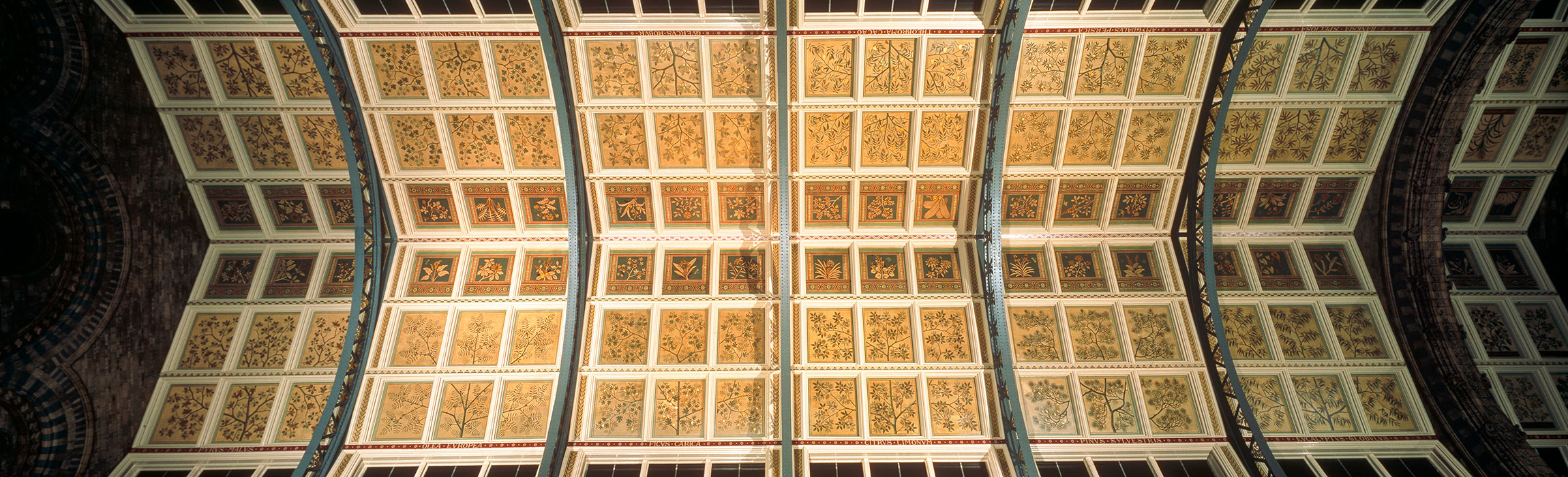 Ceiling in Hintze Hall showing a variety of panel designs