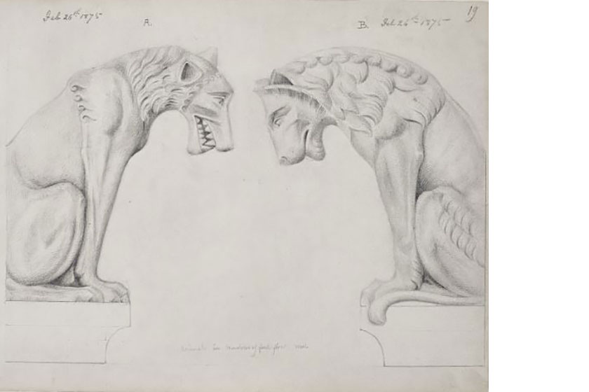 Sketches of wolf and lion grotesques